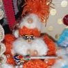 parulsingh586